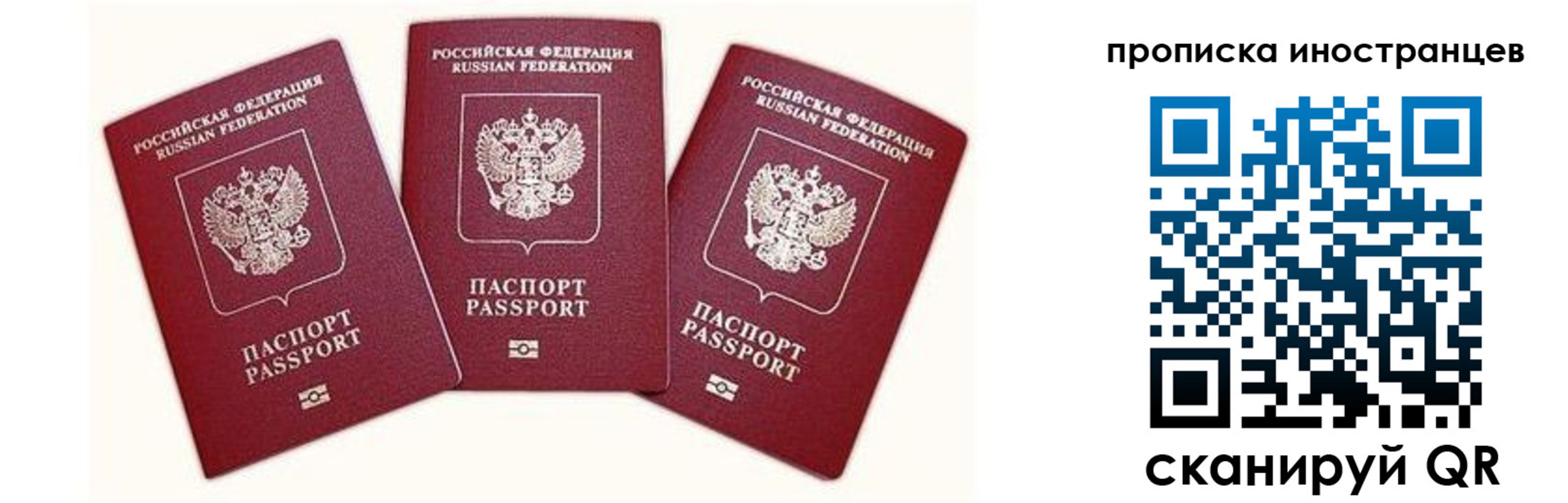 прописка в Жердевке